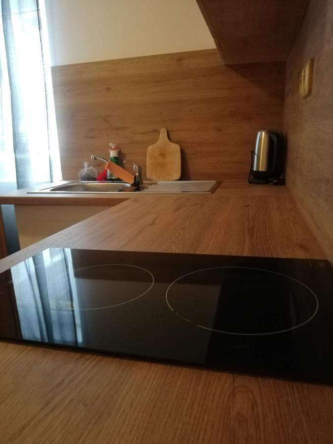 Penzion Pod Svahem Železná Ruda Zewnętrze zdjęcie